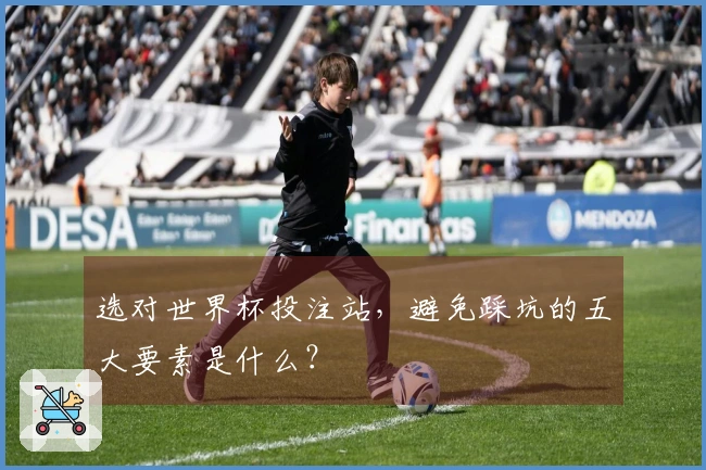 选对世界杯投注站，避免踩坑的五大要素是什么？
