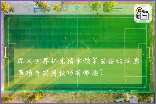烽火世界杯竞猜中预算安排的注意事项与实用技巧有哪些？