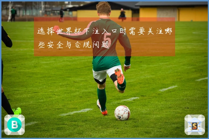 选择世界杯下注入口时需要关注哪些安全与合规问题