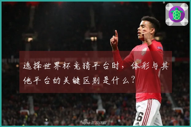 选择世界杯竞猜平台时，体彩与其他平台的关键区别是什么？