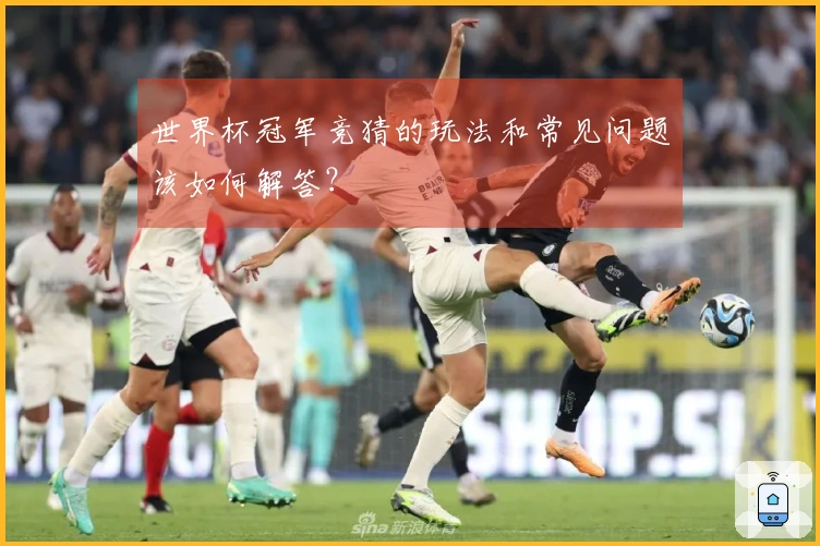 世界杯冠军竞猜的玩法和常见问题该如何解答？