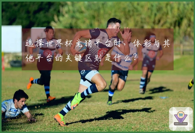 选择世界杯竞猜平台时，体彩与其他平台的关键区别是什么？