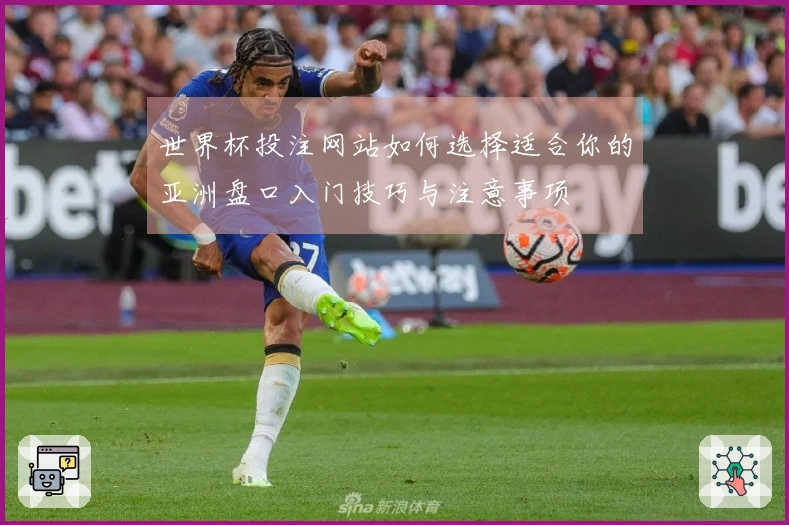 世界杯投注网站如何选择适合你的亚洲盘口入门技巧与注意事项
