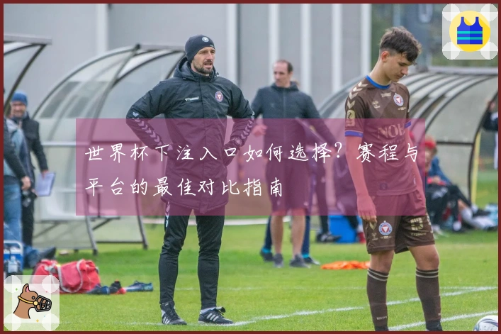 世界杯下注入口如何选择？赛程与平台的最佳对比指南
