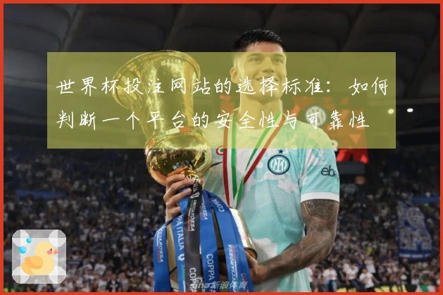 世界杯投注网站的选择标准：如何判断一个平台的安全性与可靠性