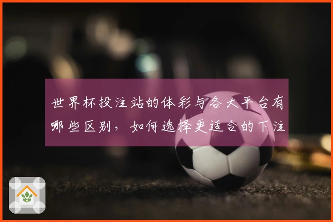 世界杯投注站的体彩与各大平台有哪些区别，如何选择更适合的下注方式？