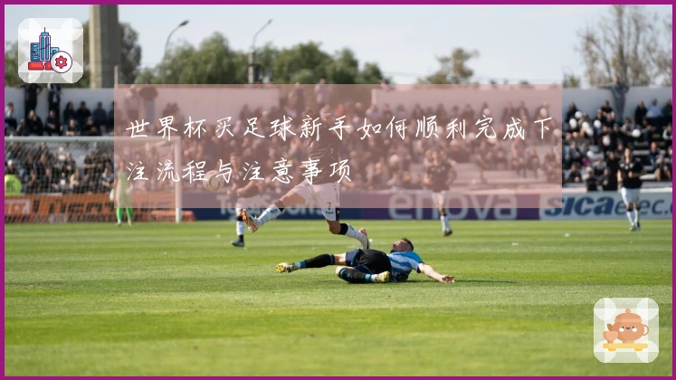 世界杯买足球新手如何顺利完成下注流程与注意事项