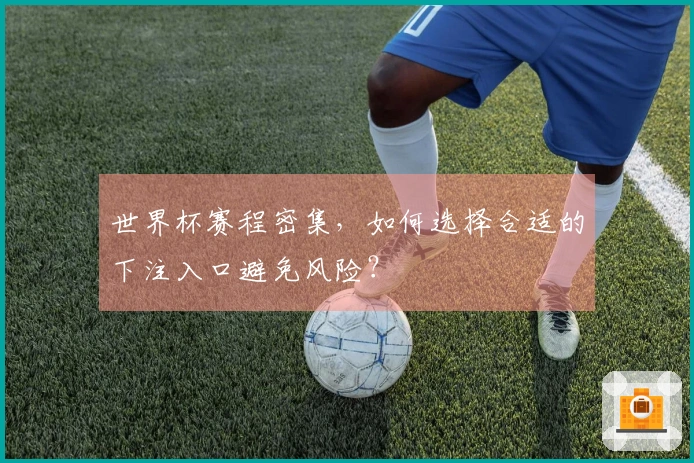 世界杯赛程密集，如何选择合适的下注入口避免风险？