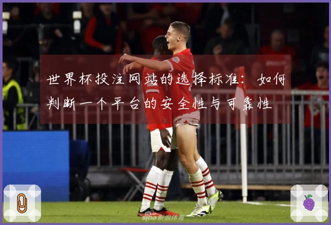 世界杯投注网站的选择标准：如何判断一个平台的安全性与可靠性