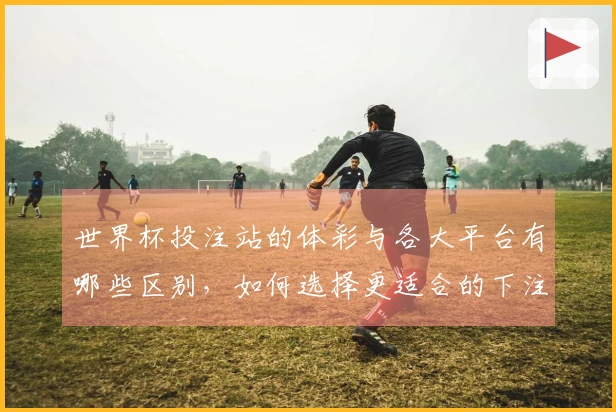 世界杯投注站的体彩与各大平台有哪些区别，如何选择更适合的下注方式？