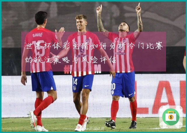 世界杯体彩竞猜如何分析冷门比赛的投注策略与风险评估