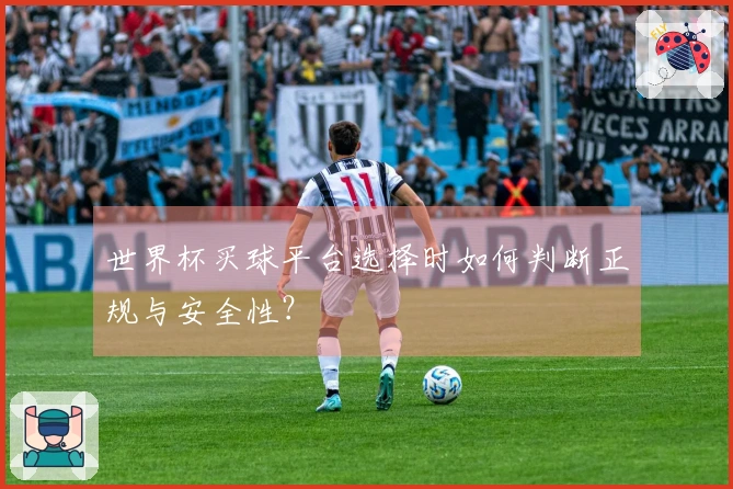 世界杯买球平台选择时如何判断正规与安全性？