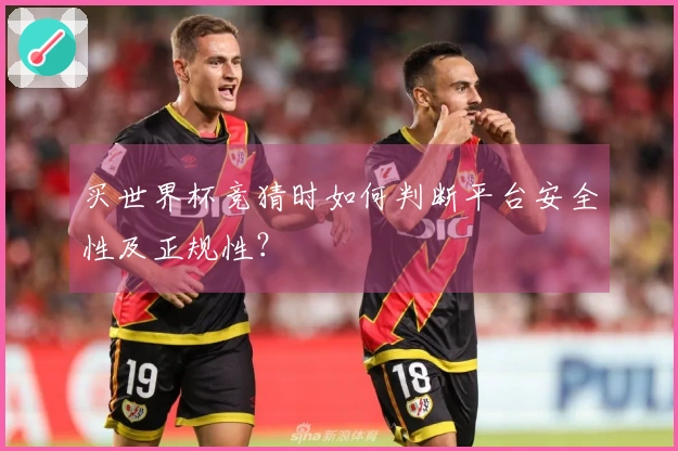 买世界杯竞猜时如何判断平台安全性及正规性？