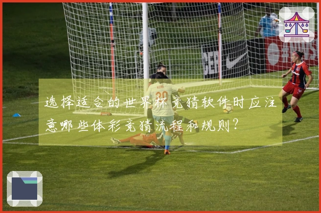 选择适合的世界杯竞猜软件时应注意哪些体彩竞猜流程和规则？