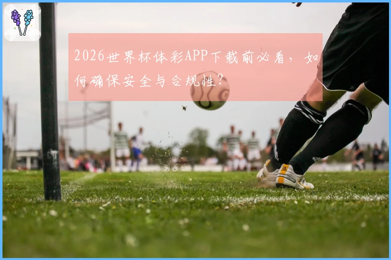 2026世界杯体彩APP下载前必看，如何确保安全与合规性？