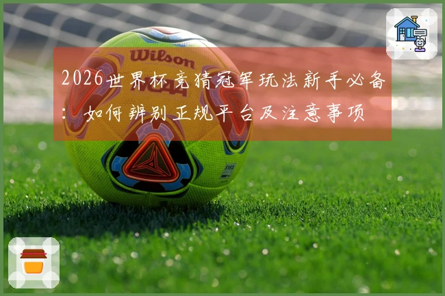 2026世界杯竞猜冠军玩法新手必备：如何辨别正规平台及注意事项