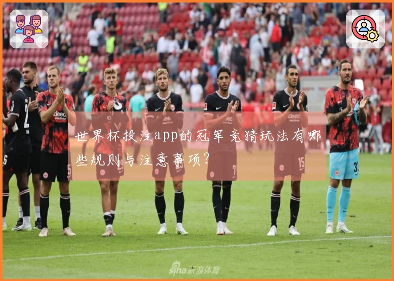 世界杯投注app的冠军竞猜玩法有哪些规则与注意事项？