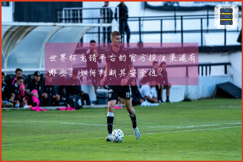 世界杯竞猜平台的官方投注渠道有哪些？如何判断其安全性？