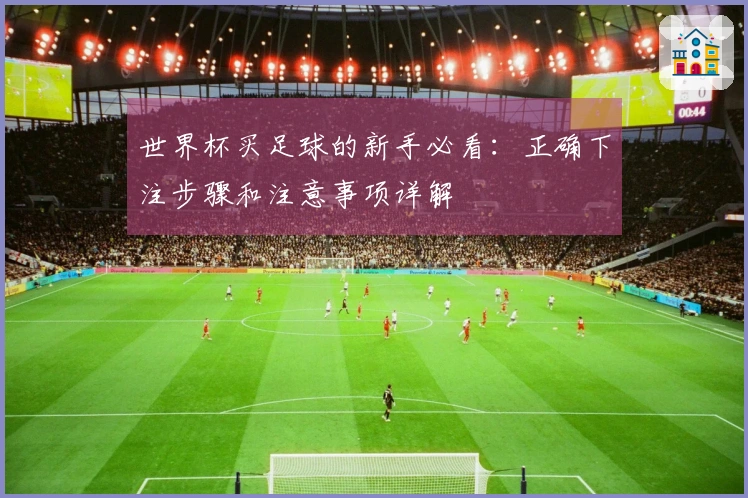 世界杯买足球的新手必看：正确下注步骤和注意事项详解