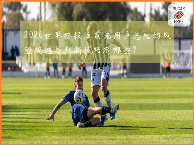 2026世界杯投注前老用户总结的风险规避与判断技巧有哪些？