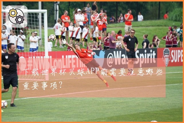 下载世界杯买球APP前需要注意哪些重要事项？
